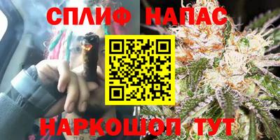 гидра Сланцы