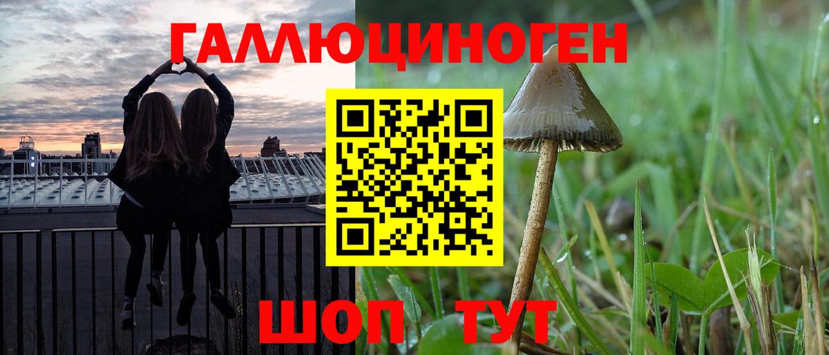 Галлюциногенные грибы Magic Shrooms  Вход с VPN  магазин    Обь 